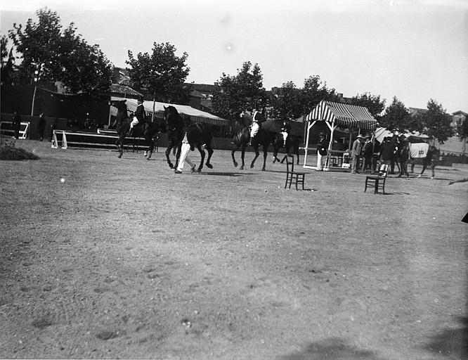 Concours hippique, tous primés