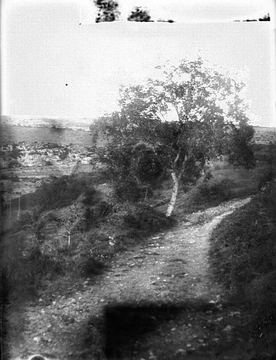 En haut de la côte de Rodanèze près de Saint-Antonin