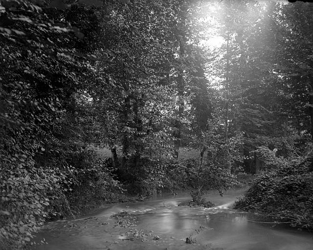 Les bords de la Bonnette près de Saint-Antonin