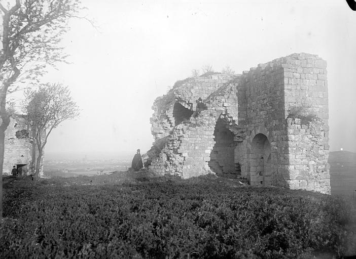 Ruines du château de Castelnau de Lévis