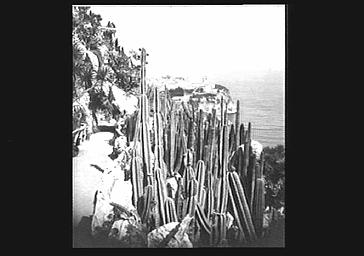 Vue du rocher de Monaco