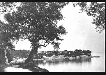 Route de Beaulieu, avant la construction de la villa Kerylos