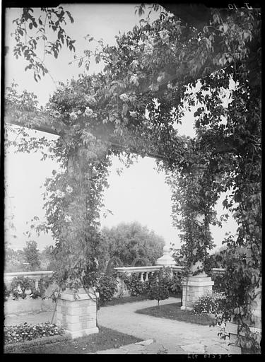 Pergola couverte des plantes grimpantes