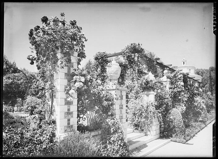 Vue d'angle sur une pergola, couverte des roses grimpantes en fleur