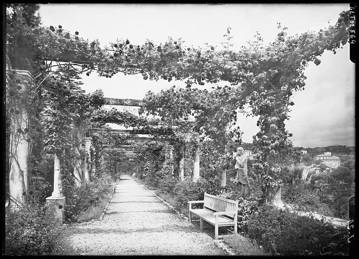 Tonnelle couverte des roses grimpantes en fleurs, un banc