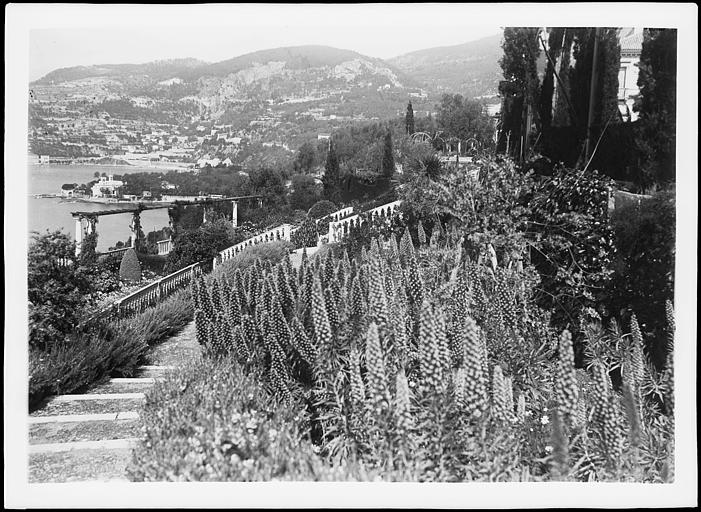 Le degré des marches descendant vers une terrasse, vue sur la baie de Villefranche