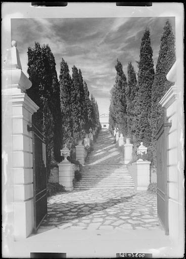 Domaine de la Léopolda - Le grand escalier