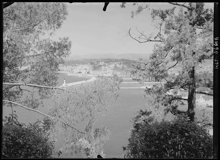 Vue générale du Mont-Boron sur le port : étude artistique