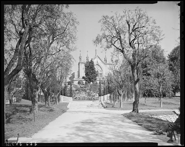 Allée de l'oliveraie