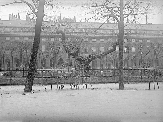 Jardin public, arbre, chaises, façades d'immeubles à l'arrière-plan