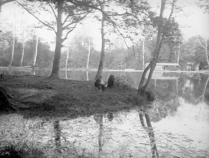 Etang, berges, arbres, reflet dans l'eau, buvette 'A l'étang de Trivaux, au rendez-vous des artistes et des pêcheurs', peintre installé dans l'herbe