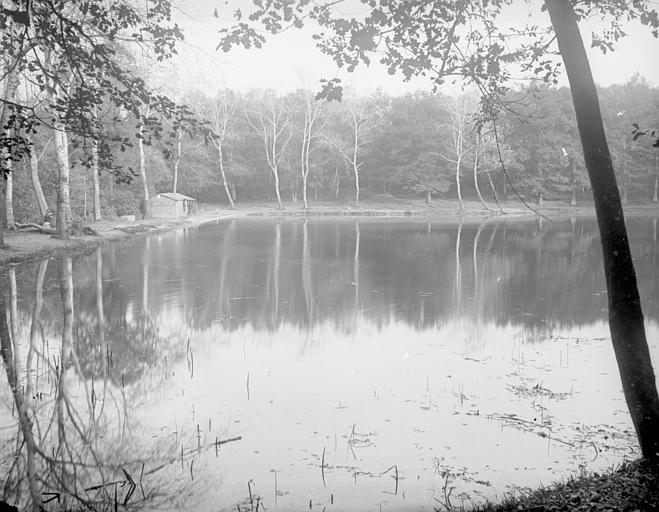 Etang, arbres, reflet dans l'eau, buvette, troncs d'arbre à droite