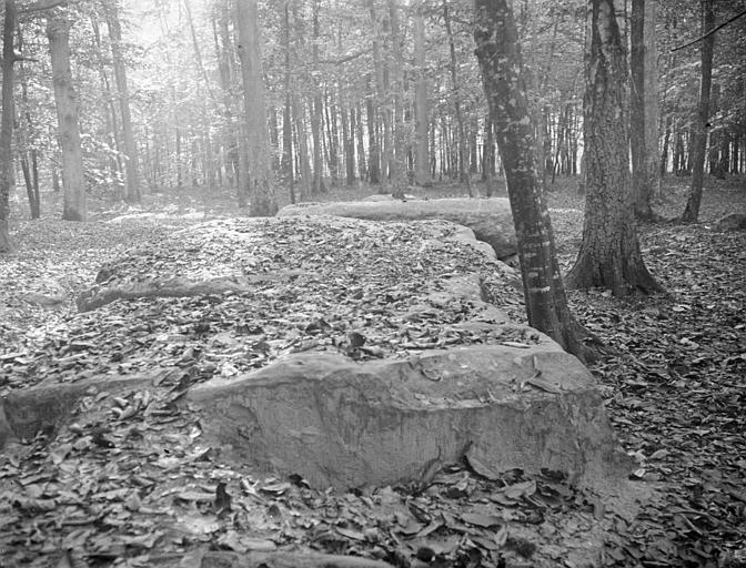 Pierre au premier plan, forêt à l'arrière-plan