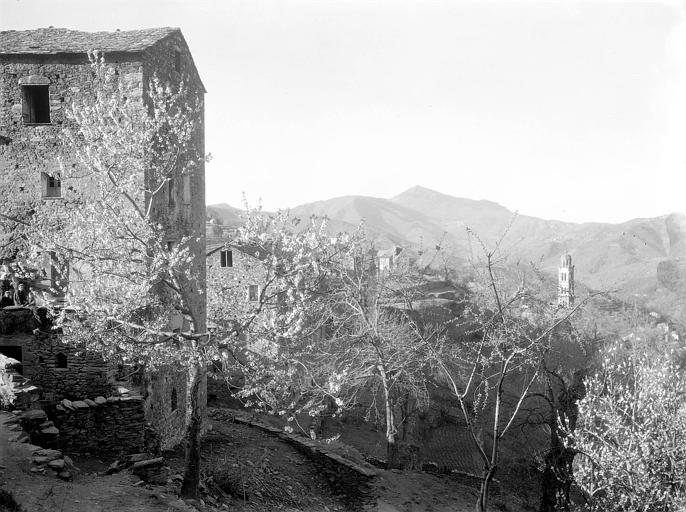 Vue d'ensemble du village de Carcheto-Brustico; en arrière-plan le clocher de l'église paroissiale