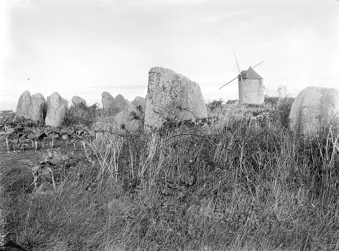 Vue d'ensemble à la tête des alignements, avec le moulin en arrière-plan