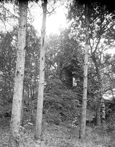 Vue à travers les arbres