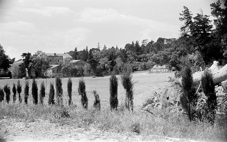 Maisons aux abords du parc