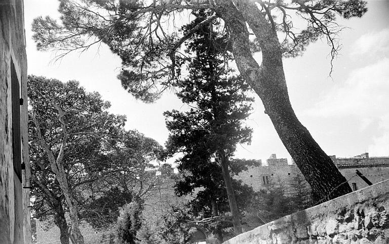 Parc et enceinte médiévale