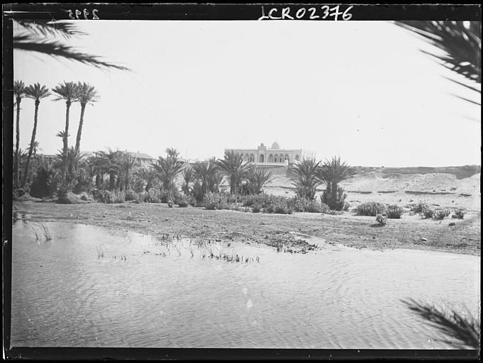 L'Oued Béchar : la palmeraie, le cercle
