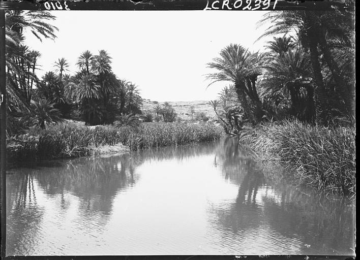 Oasis de Tiout, l'oued
