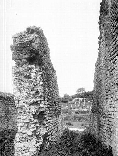 Ruines, intérieur : vue d'ensemble