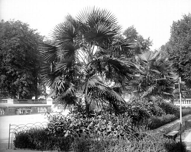 Vue d'un parterre