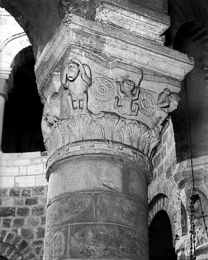 Intérieur, chapiteau du rez-de-chaussée de la rotonde : singes et chat