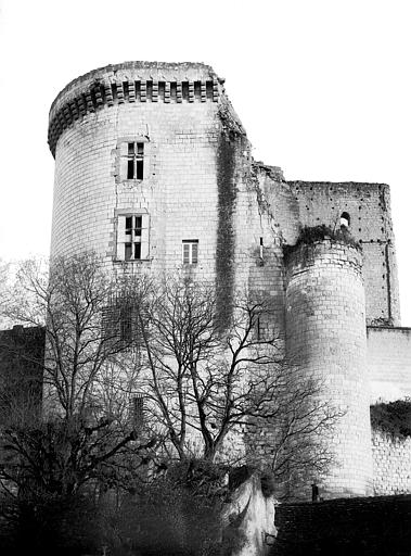 Vieux Château : Tour Neuve ou tour Louis XI, côté ouest