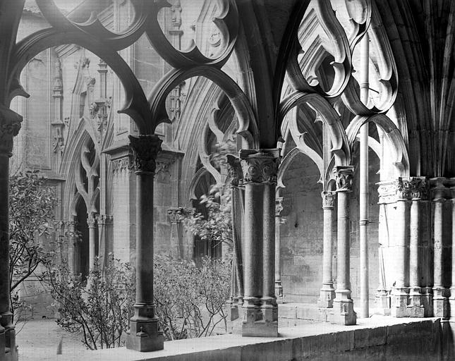 Cloître : intérieur