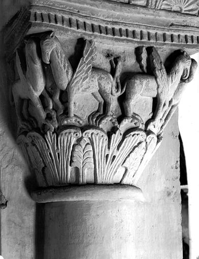 Intérieur, chapiteau : griffons adossés et décor feuillagé