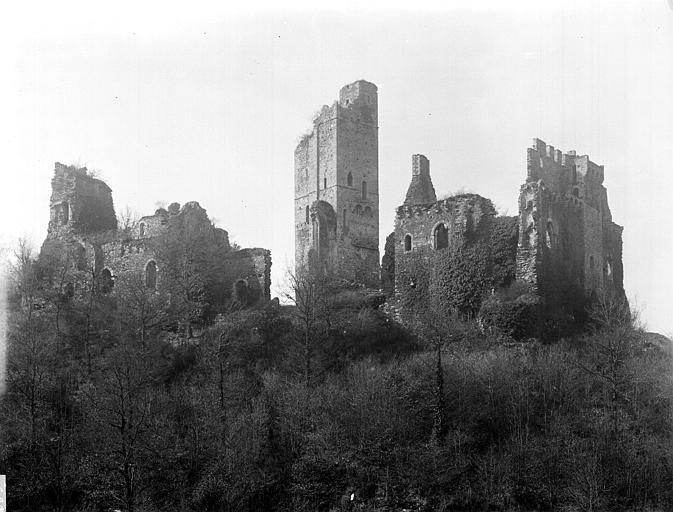 Ruines : vue générale