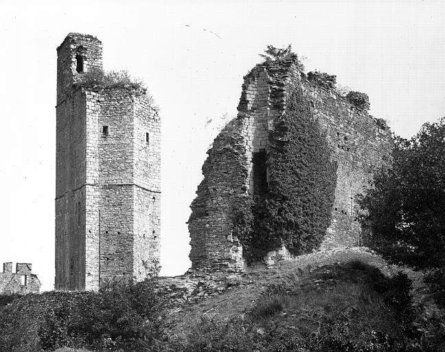 Ruines : tour et partie de façade