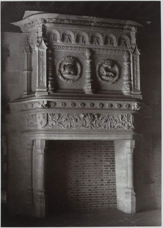 Aile dite de Louis XII. Chambre à coucher du roi. Cheminée aux embêmes