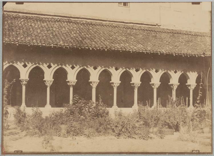 Jardin du cloître