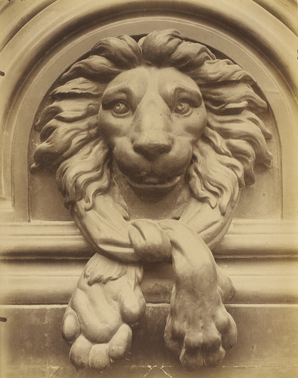 Motif à tête de lion en fer forgé