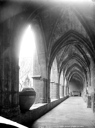 Cloître, intérieur d'une galerie servant de dépôt lapidaire