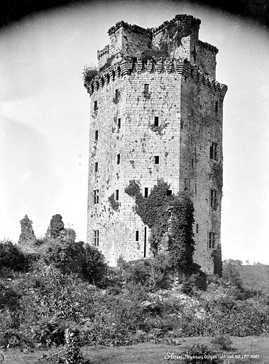 Donjon, côté sud-est