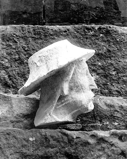 Fragment de sculpture déposé : tête, vue de profil