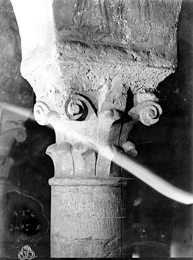 Intérieur, chapiteau : crosses et volutes