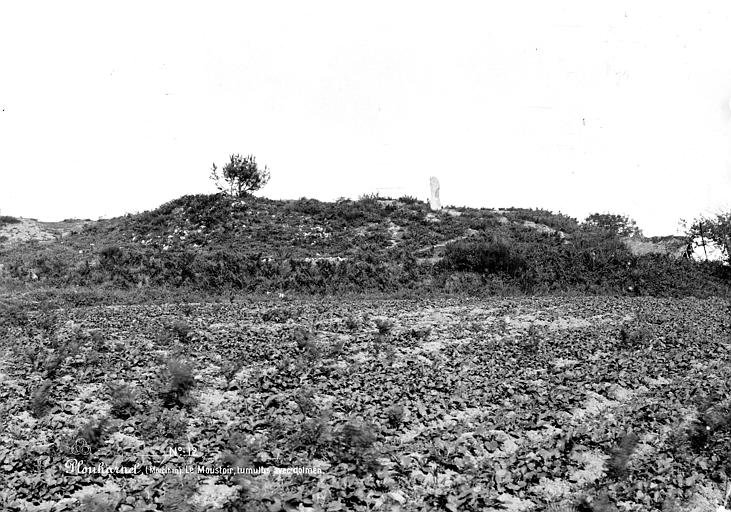 Tumulus avec dolmen