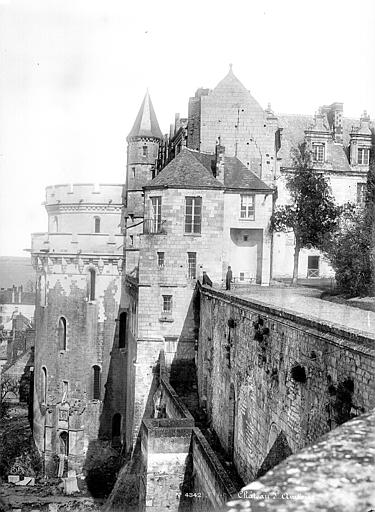 Tour des Minimes et logis du roi, côté ouest