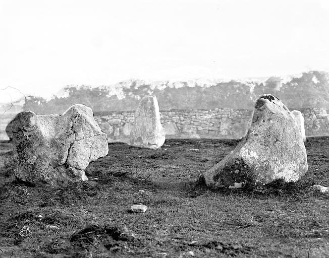 Trois menhirs