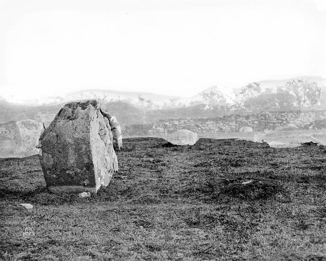 Menhir