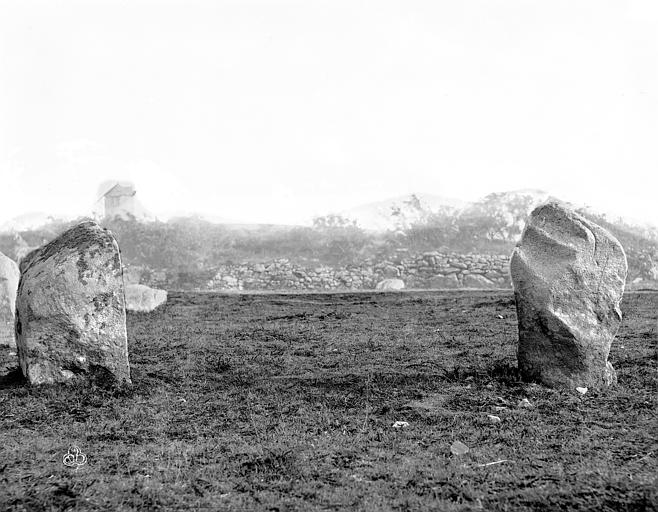 Deux menhirs