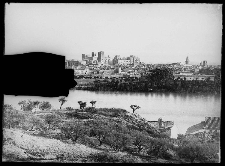 Vue générale prise depuis Villeneuve-lès-Avignon