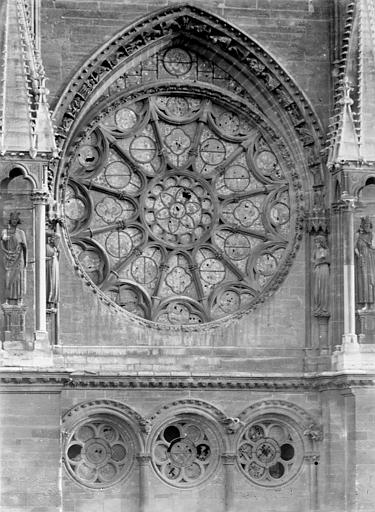 Transept nord : Rose