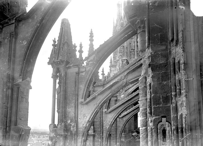 Façade sud : arcs-boutants de la nef