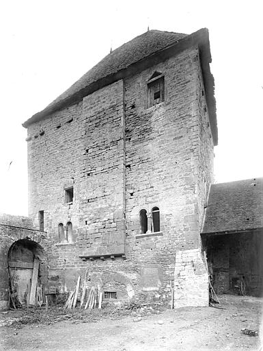 Bâtiment abbatial, côté est (grosse tour carrée avec fenêtres romanes)