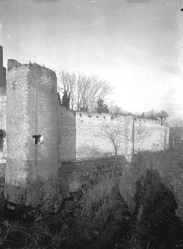 Vieux Château : Enceinte sud (tour côté est)