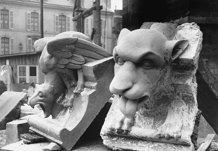 Bête d'amortissement, modèles pour la restauration, transept nord